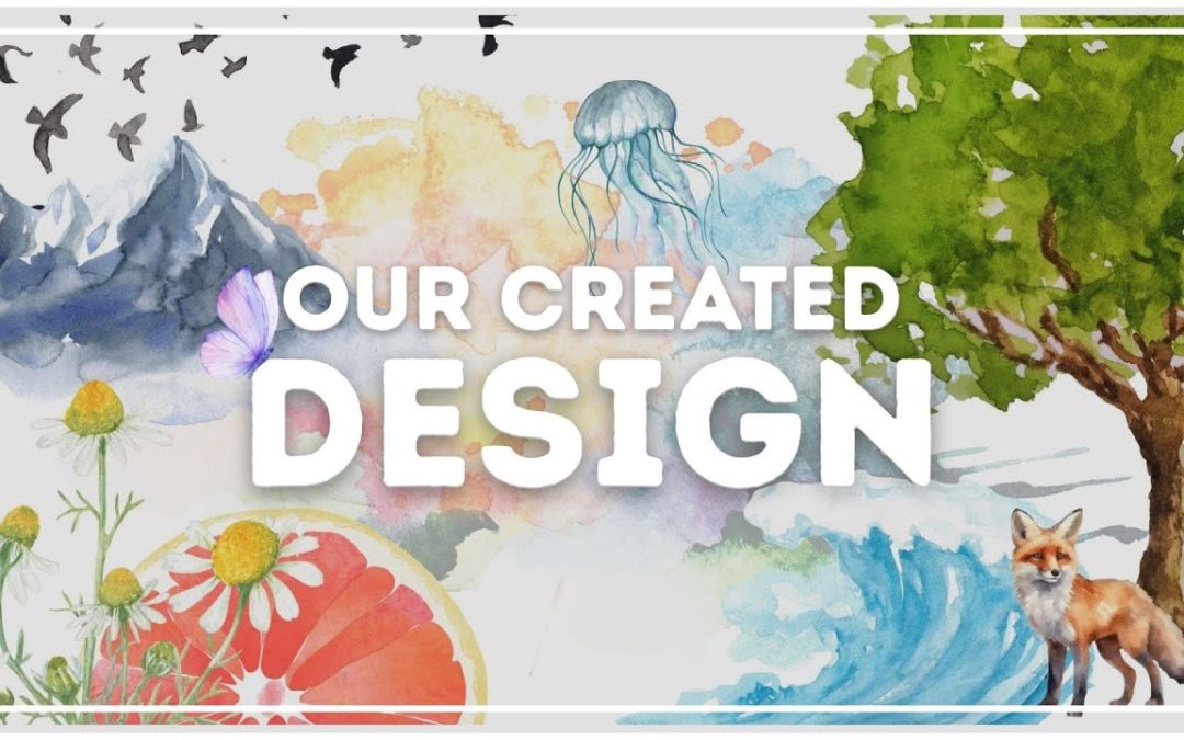 Created for Intimacy